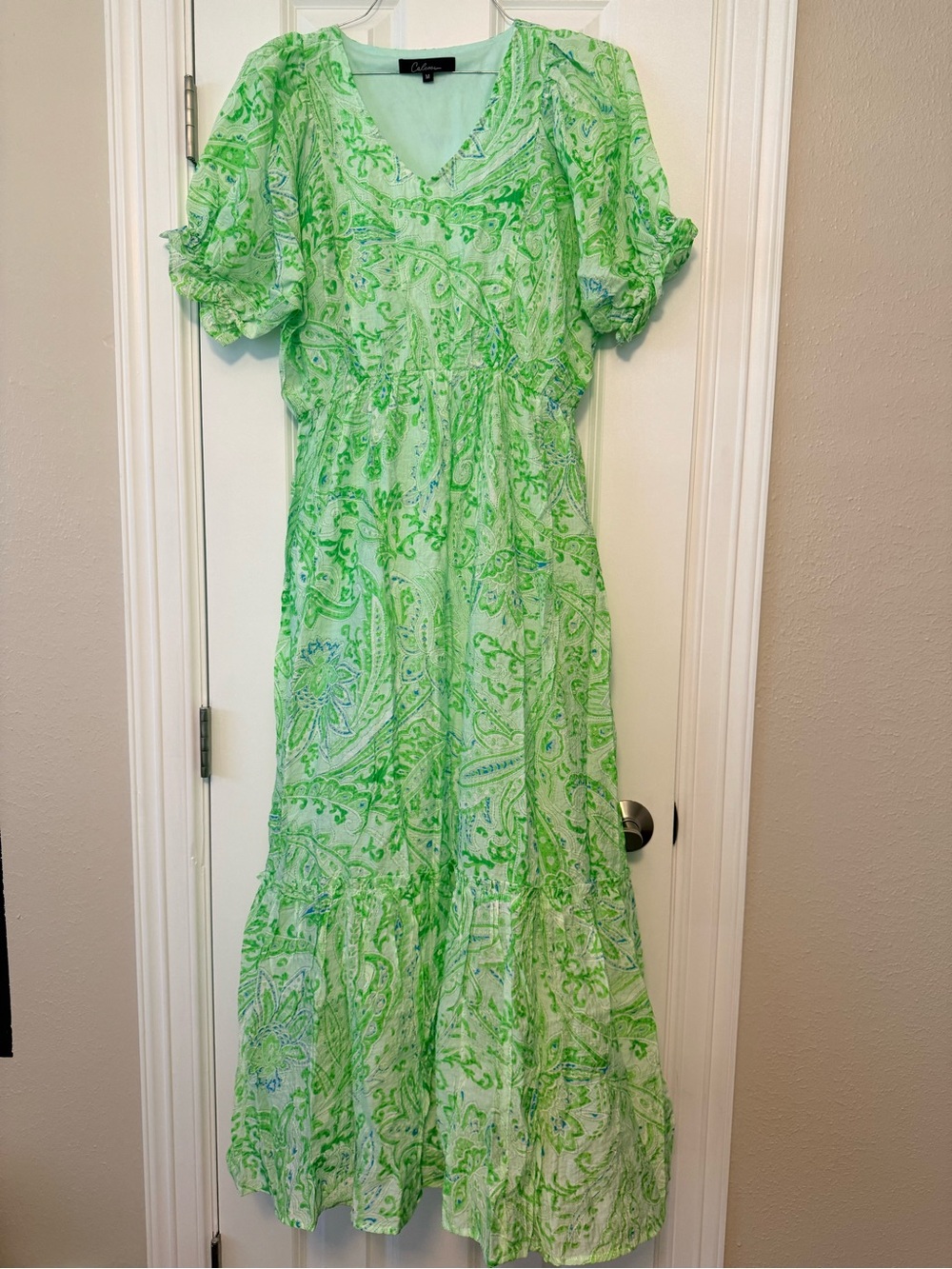 NWOT Calessa Green Paisley V-Neck Maxi Dress